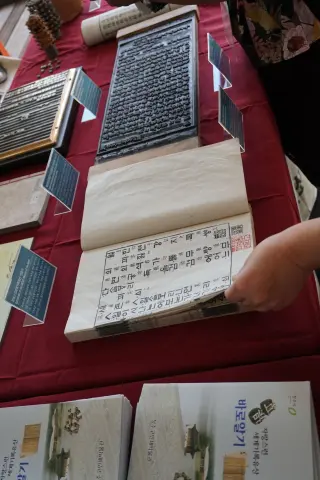 DSC00910-squashed.JPG